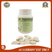 Veterinary Drugs of Oxytetracycline+Colistine Bolus(0.5g)